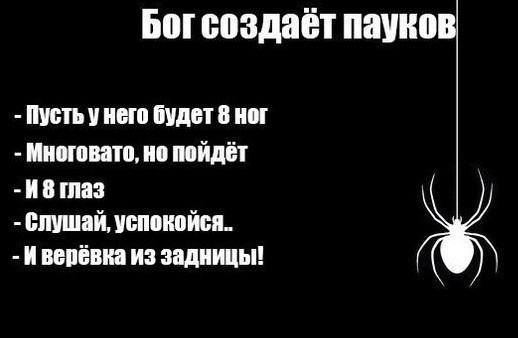 Так себе картинки 23.09.22