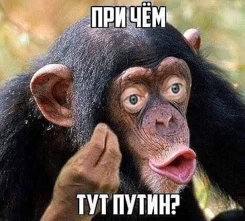 Диалог сотрудников столичного ДПС и молодых парней из Средней Азии