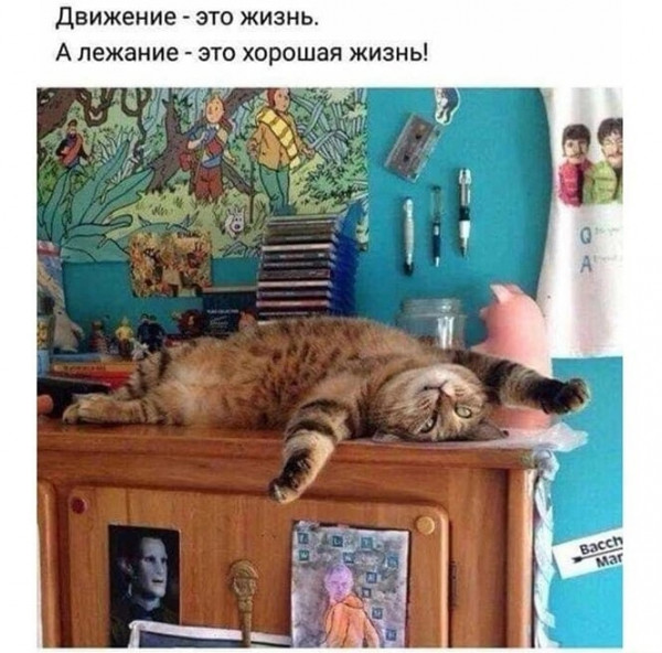 Немного картинок для настроения - 131