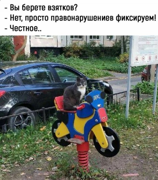 Картинки и мемы, всем хороших выходных