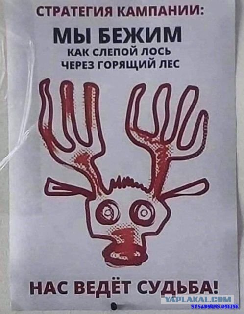 Напишем код