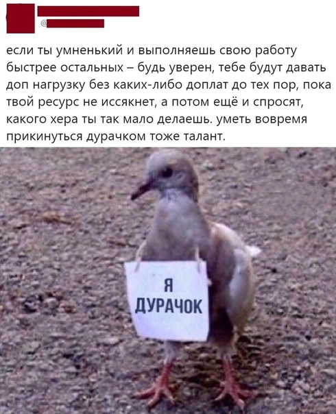 Правда жизни