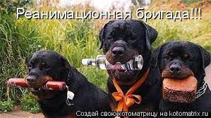 Шашлыки, они коварные