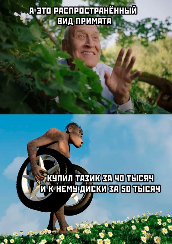 Весёлый полтишок 11.08.23