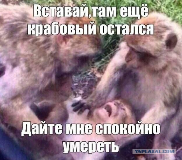 У нас всё готово