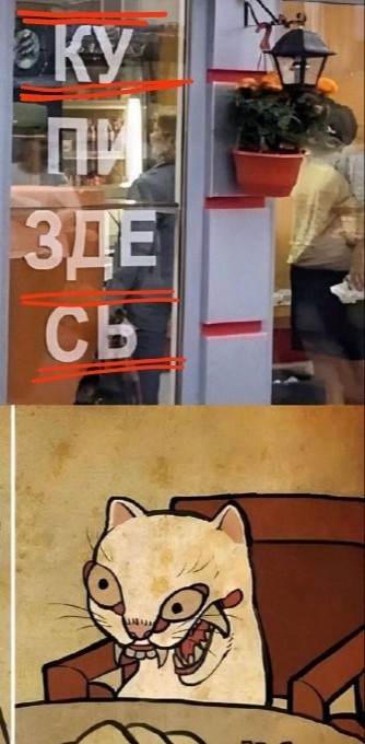 Тут бы и я заорал на кота