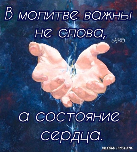Прикольные и просто красивые картинки 09.02.2024