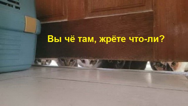 ФотоВинегрет