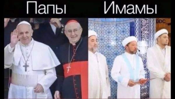 Картинки от Scodero