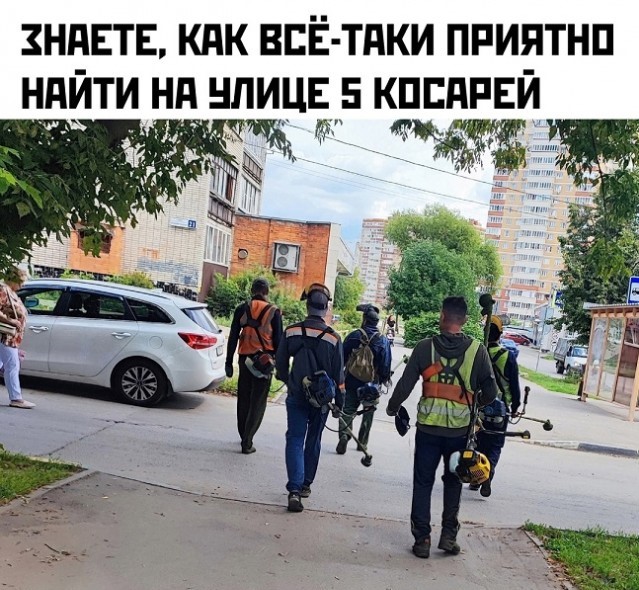 Весёлый полтишок 13.08.24