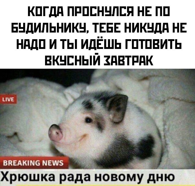 Так себе картинки 09.11.24