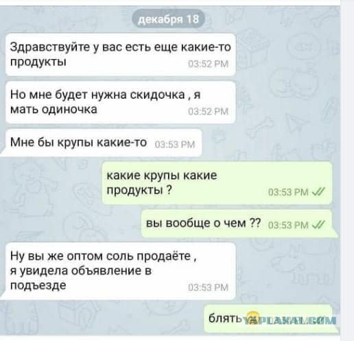 Так себе картинки 21.12.24