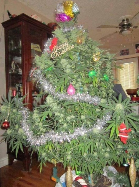 Продолжаю вести наблюдение