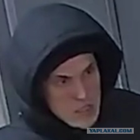 Приключения закладки в Мурино