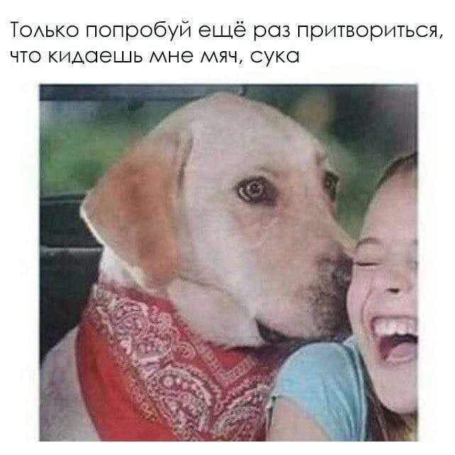 Сборник чтобы подеградировать — 15