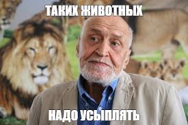 Талибан полностью отключил интернет в Афганистане,