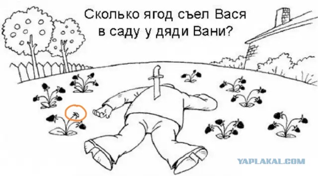 Так себе картинки 16.10.25