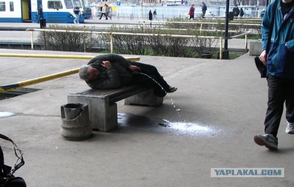 Насрал и улетел