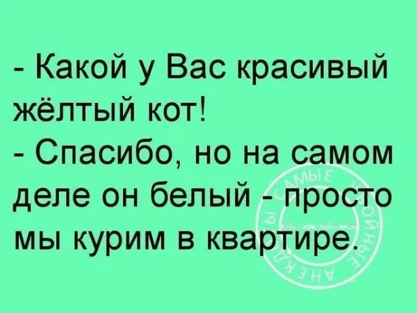 Вечер воскресенья