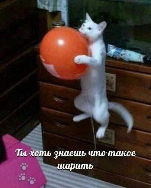 Четверговые картинки