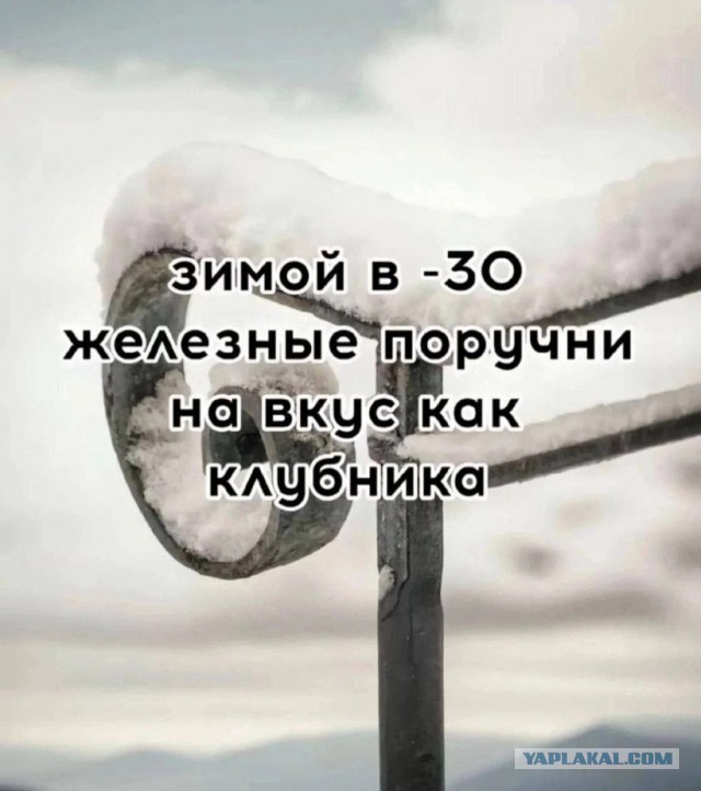 Картиночки, баянчики 04 января