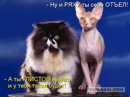 Памажите или исповедь подкаблучника