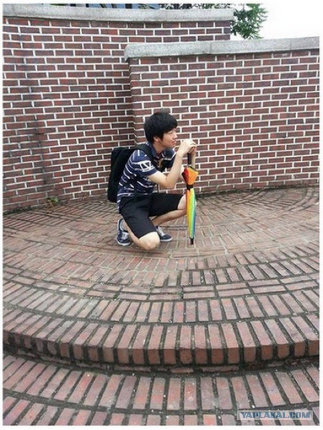 Смешные работы фотошоперов из социальных сетей