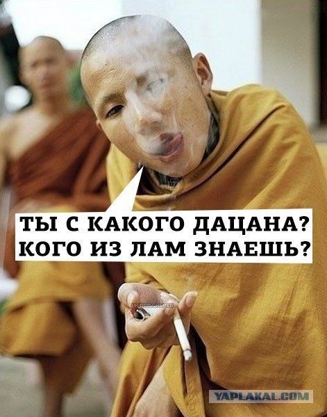 22 монаха задержаны за перевозку более 110 килограммов наркотиков
