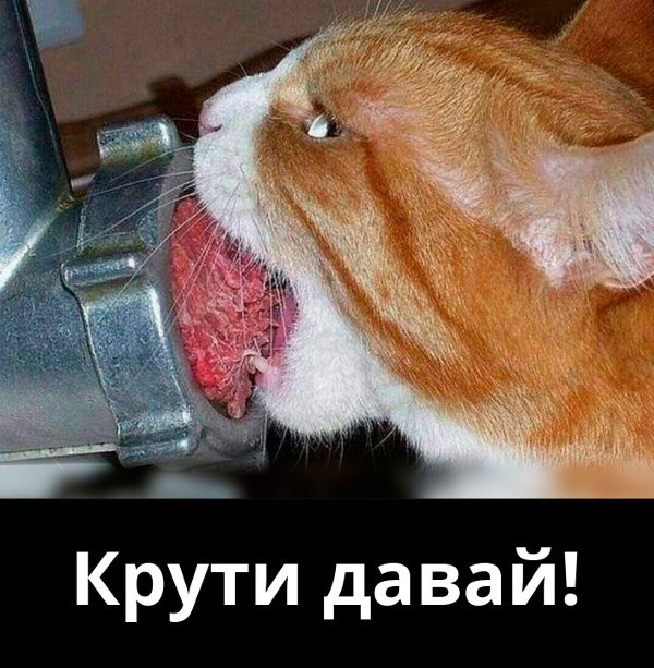 Ешь мясо, мясо, мясо