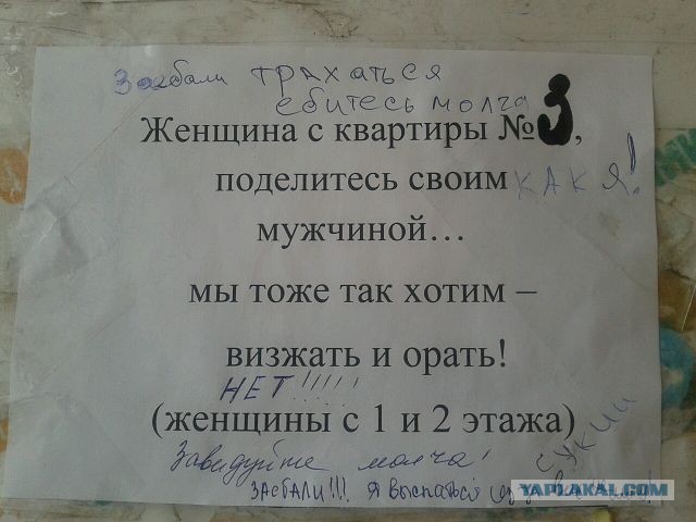 Обзавидовались женщины!
