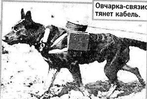 "Не убивай меня, я сделаю все, что смогу":