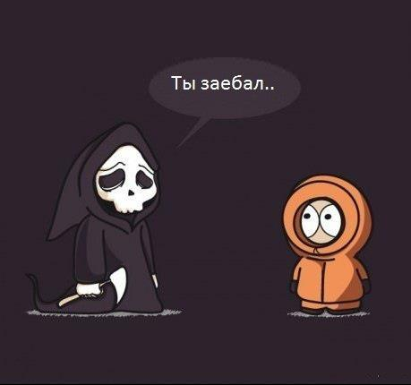 Пристрели кота