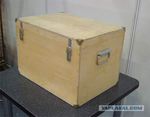 Коты ученых