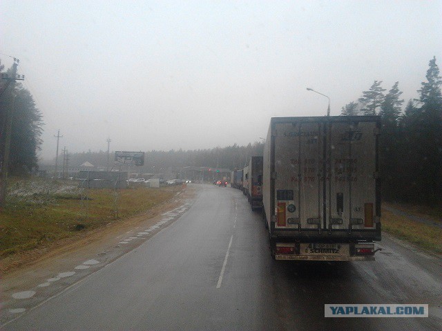 Где яблоки растут!