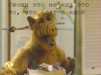 Скандал с женой из-за вегетарианства