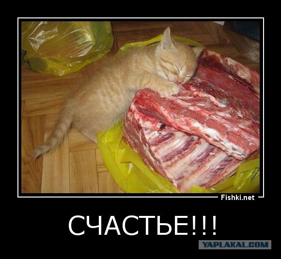Тема для юмора