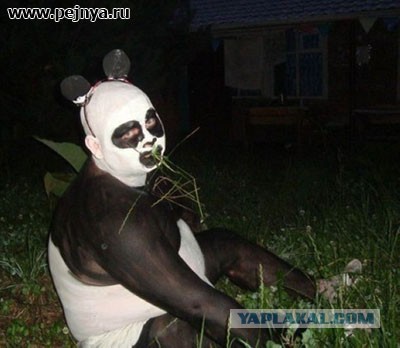 Прямая трансляция пресс-конференции!