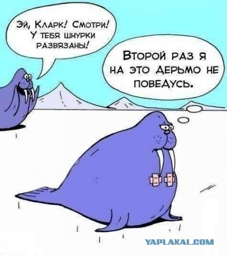 Весёлые картинки. Разбавим будни