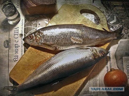 Купил селедочку называется