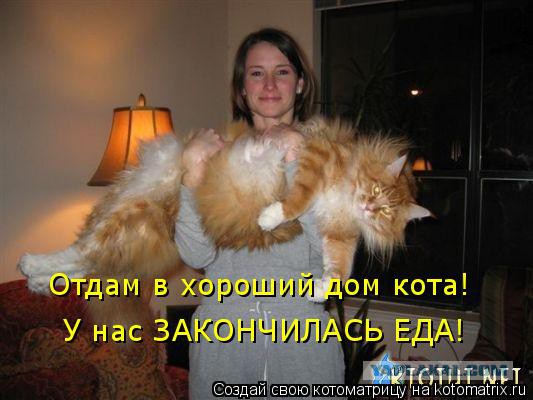 С Котовторником!
