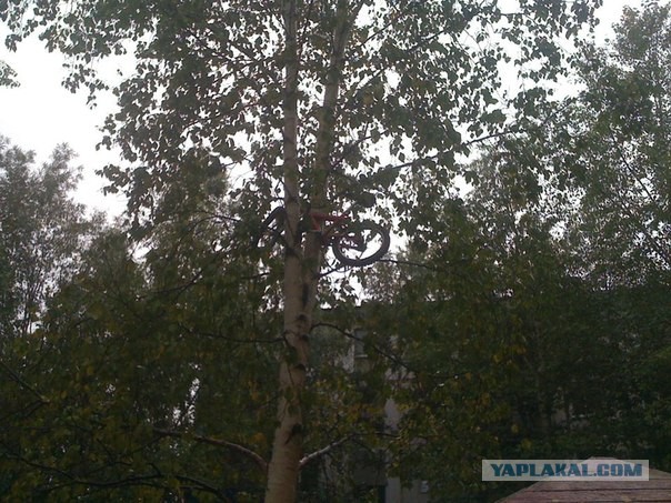 Мой Нижневартовск!