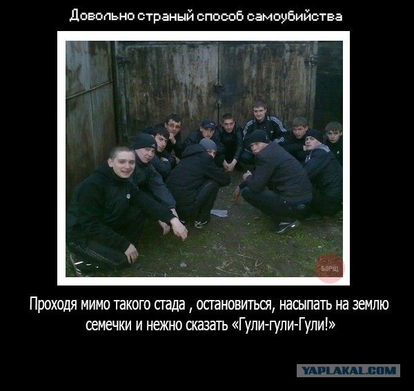 Немного позитива на пятницу