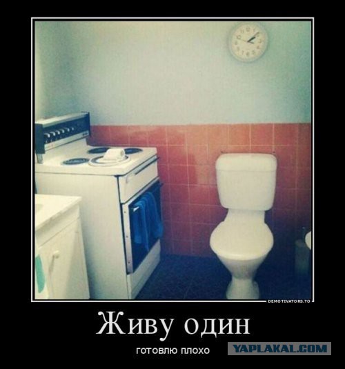 Смешное из сети