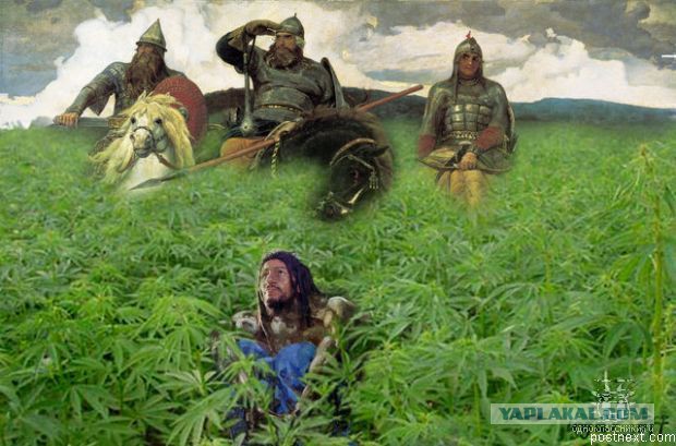 Всем зеленки!
