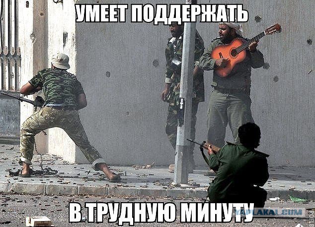 Подборка весёлых картинок