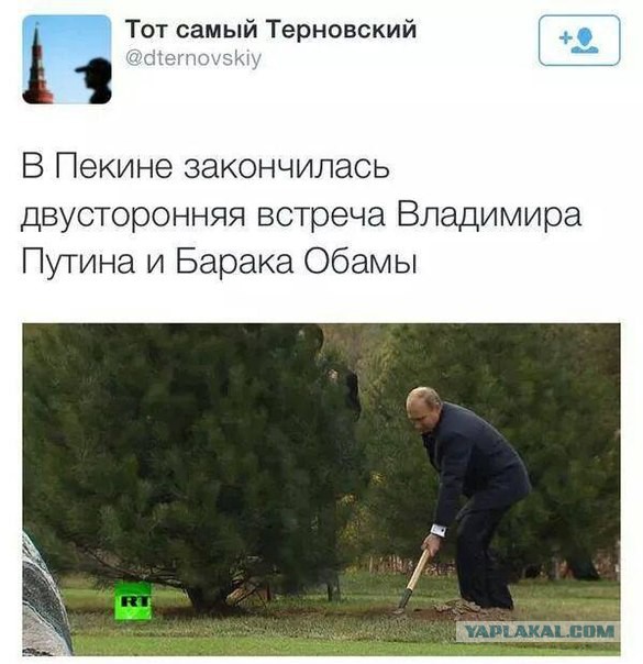 Весёлые картинки