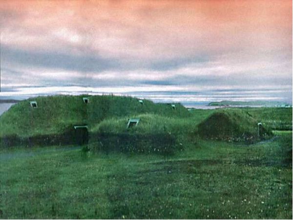 Лисья нора-или как легально обойти закон