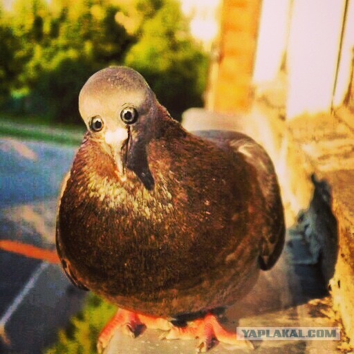 Фотки из инетов