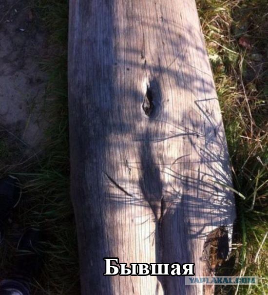 Вторничные картинки