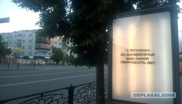 Весёлости в картинках